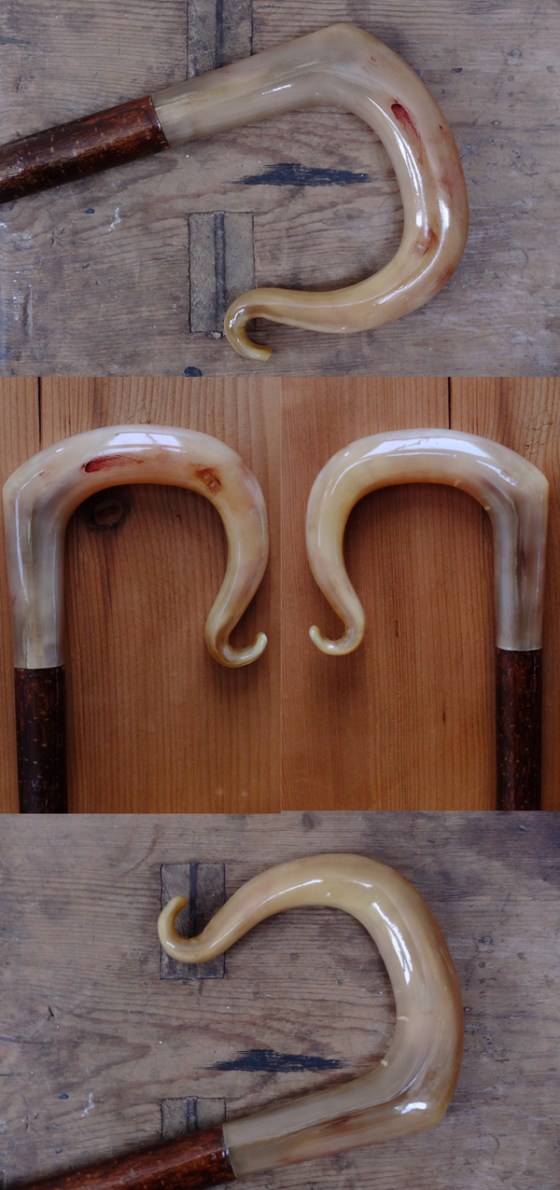 Rams Horn Crook 1