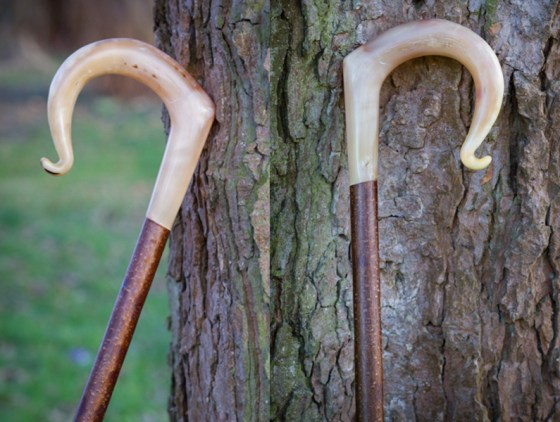 Rams Horn Crook B