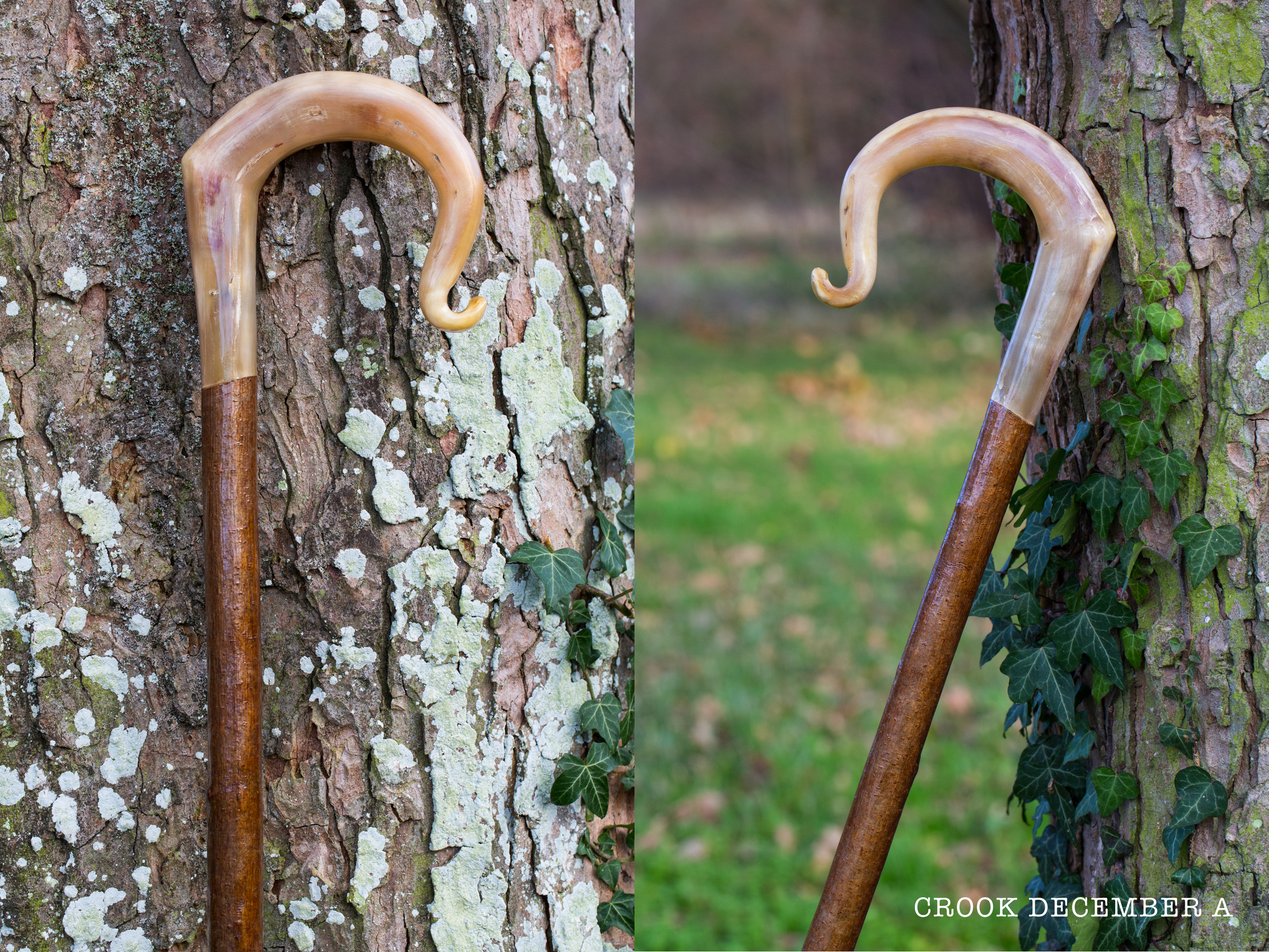 AAA Rams Horn Crook A