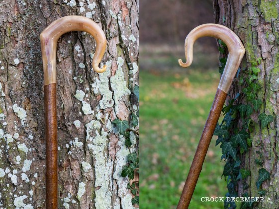 AAA Rams Horn Crook A