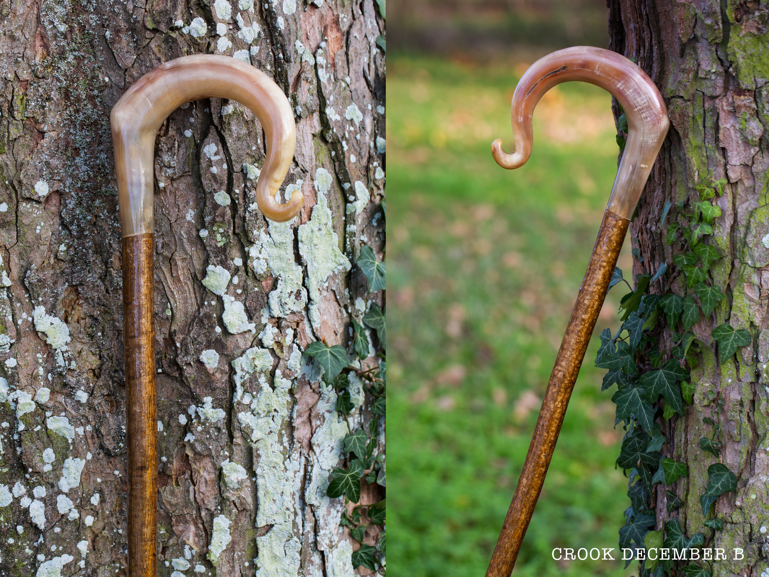 AAA Rams Horn Crook B