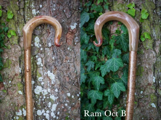 Ram Oct B